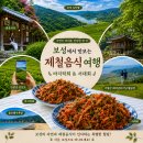 11545-02-08-67 | 보성 당일치기 여행 가볼만한곳 BEST 8, 제철음식까지 알차게 즐기는 코스