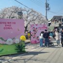 김천 연화지 벚꽃축제, 밤에 가야 만족도가 달라지는 이유