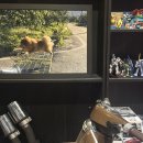 멍멍이 날다 이미지