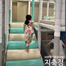 서부청기와감자탕 지축점