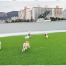 놀루오숑 이미지