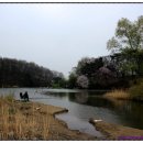 어둔저수지 이미지