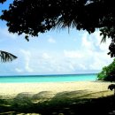 여름아, 부탁해~~ 이미지