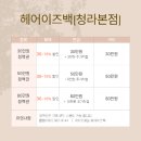 헤어 이즈 백