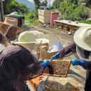 재능농장 이미지