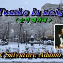 Tombs la neige / Adamo &amp; 김추자 이미지