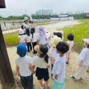 용화유치원 이미지