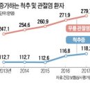 무릎과 허리 관리 이미지