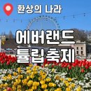 연인과산 | 에버랜드 튤립축제 2026 | 연인과 함께한 꽃밭 데이트 후기