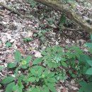 월악농장 이미지