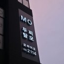 리코두피탈모관리 | '모바이오 가산점' 가산 두피관리 예민한 두피 탈모관리 후기