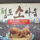 촌놈들