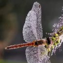 나래농원 이미지