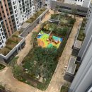 보라매355 이미지