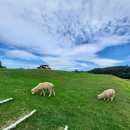 병정목장 이미지