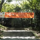 땅끝천년숲옛길 이미지