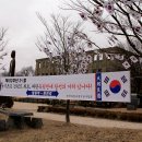 나무와쉬리 이미지