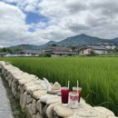 국화향기펜션 이미지