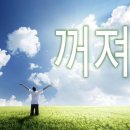 미친(p)곤드레나물밥후기