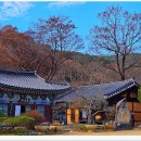 마곡사 - 831 | 마곡사