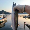 황덕도항 이미지