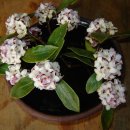 덕계농장 이미지