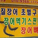 샘골장어 이미지