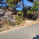 복산리 달천 이미지