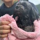 아름다운날 쉼 이미지