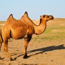 오아시스 공인중개사사무소 이미지