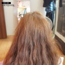 쓰리디헤어