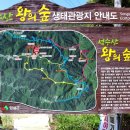 성수산 왕의숲 자연휴양림 이미지