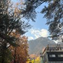 세화항 입구 봉화대옆 | 2025 설악산 단풍여행 케이블카 오픈런 주차장 후기 및 이용 요금