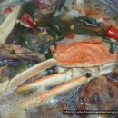 대신칼국수 Daum카페