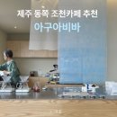 제주 동쪽 조천카페 아구아비바 추천 신촌포구뷰 핸드드립 맛집