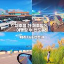 제주렌트카 가격비교사이트 제주더렌트카 내돈내산 이용 후기 포함