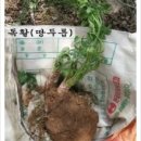 명준농장 이미지