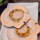 논현동 맛집 세꼬시닷컴 최애 횟집 일품진로 후기!