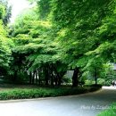 사육신묘 산책로 네이버블로그
