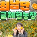 정감농장 이미지