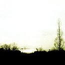 The Silence 이미지