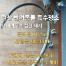 올인원크린서울 | 일산 반려동물 특수청소 비용 냄새제거와 입주청소까지 한 번에 가능한 전문업체