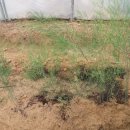 요한농원 이미지