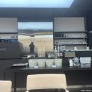 Ravic(라빅)