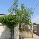 스테이포레스트 | 안성 오담 독채 숙소 후기｜리틀 포레스트 감성 한옥 스테이 (내돈내산)