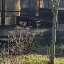 신례천로옆 네이버블로그