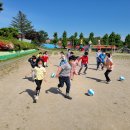 설성초교 이미지