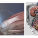 에너지마취통증의학과의원 이미지