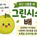 그린시스(Greensis)