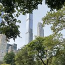 오피스넷앞 | [미국] 뉴욕여행 Day 3. Blue Bottle 모닝 커피, MLB flagship store, 할랄가이즈 픽업해 Central Park...